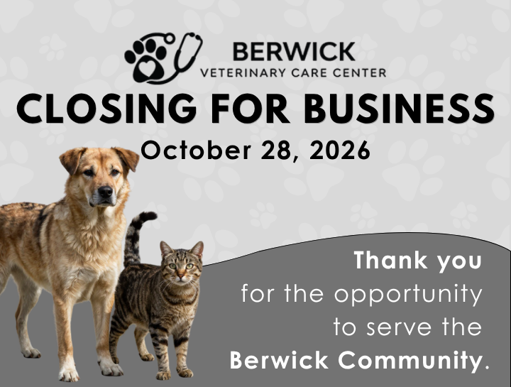 An Important Update About Berwick Veterinary Care Center
